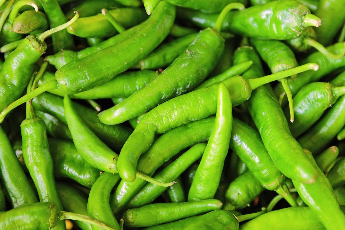 Green Chilli